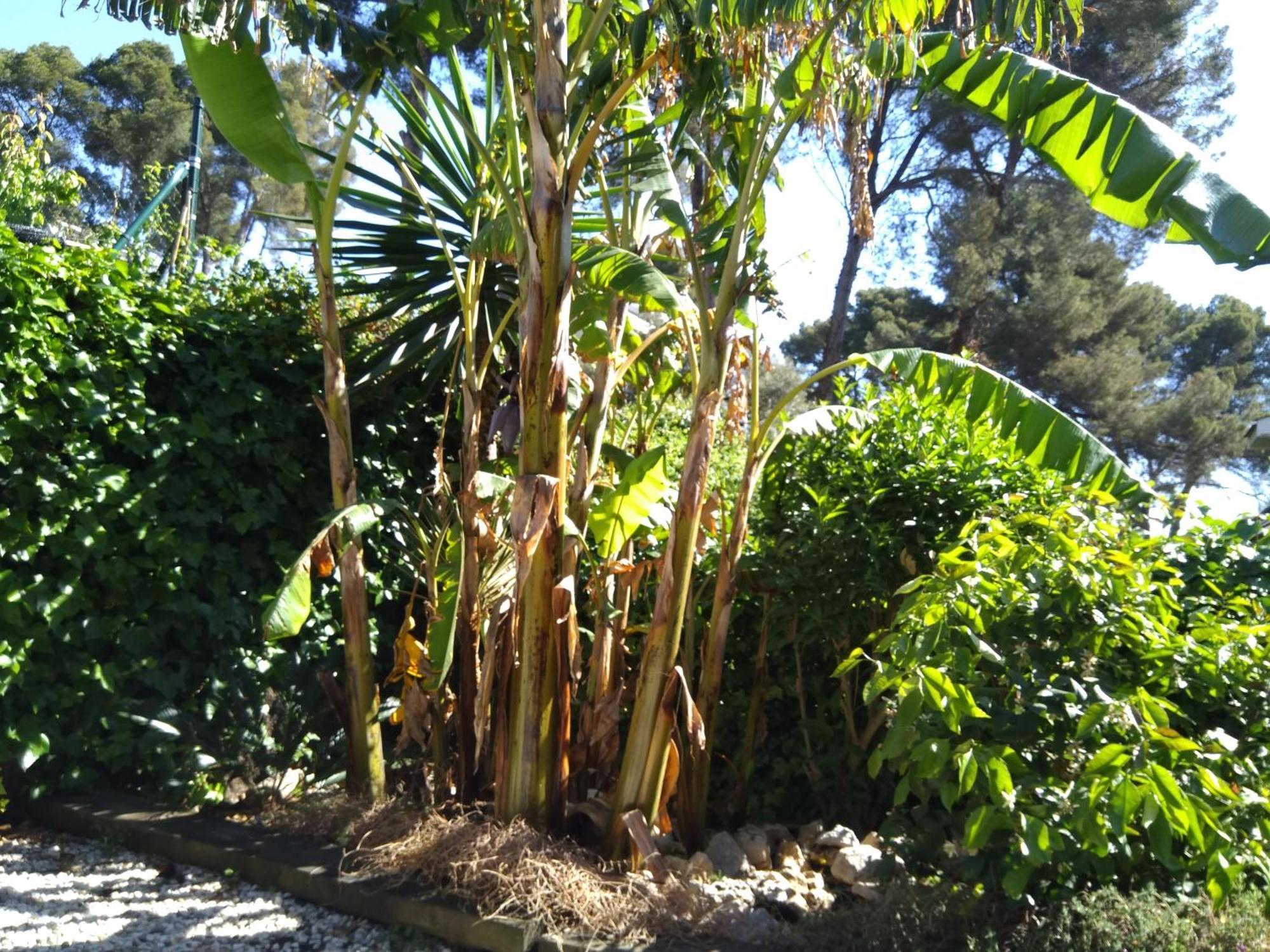 Villa Del Bosque Castelldefels Zewnętrze zdjęcie
